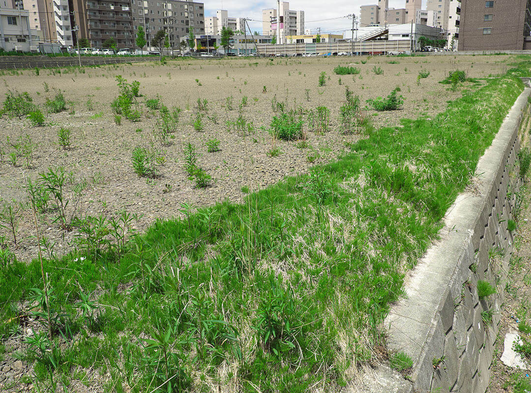 空き家・土地の活用・管理・維持について